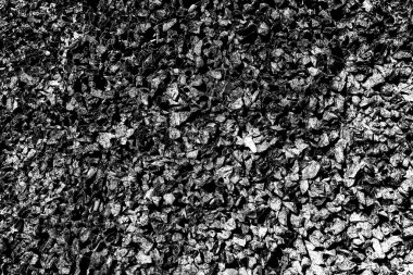 Çakıl taşı dokusu arkaplanı 