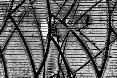 Yeşil sayfa dokusu arkaplanı.