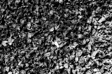 Çakıl taşı dokusu arkaplanı 