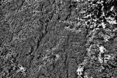 Talaş ve kar arkaplanı