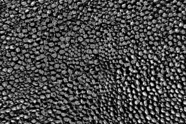 ポリスチレン発泡体のクローズアップ 大小さまざまな泡の発泡スチロールの質感の背景の多く — ストック写真