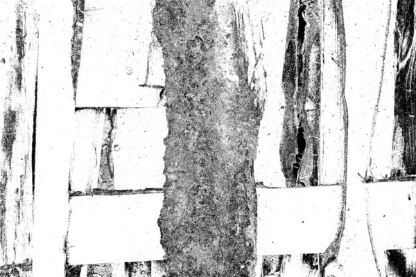 Текстура Дерева — стоковое фото