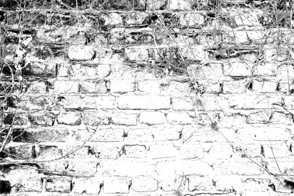 Contexte Abstrait Texture Monochrome Fond Texturé Noir Blanc — Photo