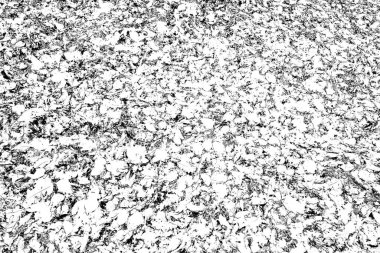 Soyut arkaplan. Monokrom dokusu. Siyah ve beyaz desenli arkaplan