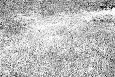 Soyut arkaplan. Monokrom dokusu. Siyah ve beyaz desenli arkaplan