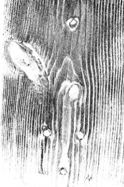 Eski tahta ahşap duvar arka planı. Eski ahşap dokusu. Yıpranmış odun parçası..