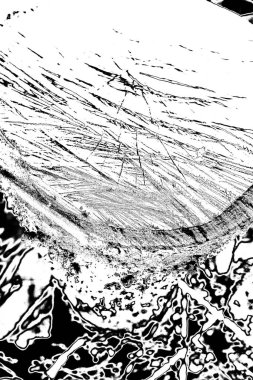 Bahçede yeni kesilmiş bir ağaç kütüğü