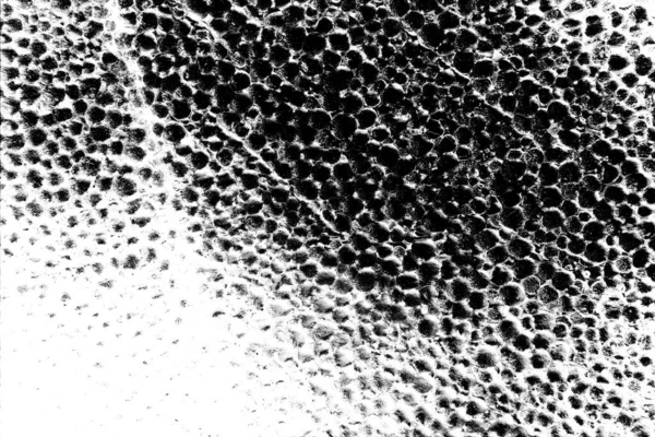 Styroporschaum Aus Nächster Nähe Viele Kleine Und Große Blasen Styropor — Stockfoto