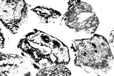  Soyut arkaplan. Monokrom dokusu. Siyah ve beyaz desenli arkaplan. 