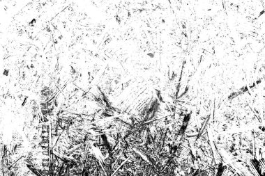 Görüntü dokusu ve arkaplanı