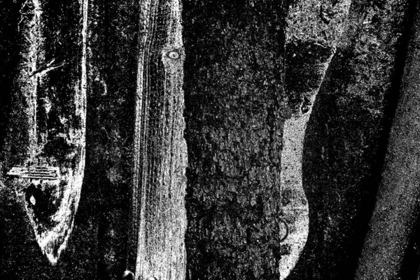 Textura Madeira — Fotografia de Stock