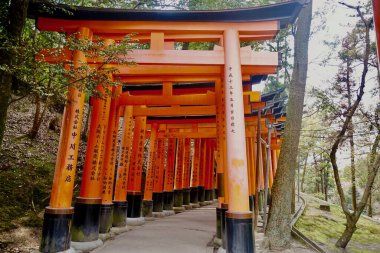Kyoto 'daki Fushimi Inari-Taisha' da Büyük Torii Kapıları