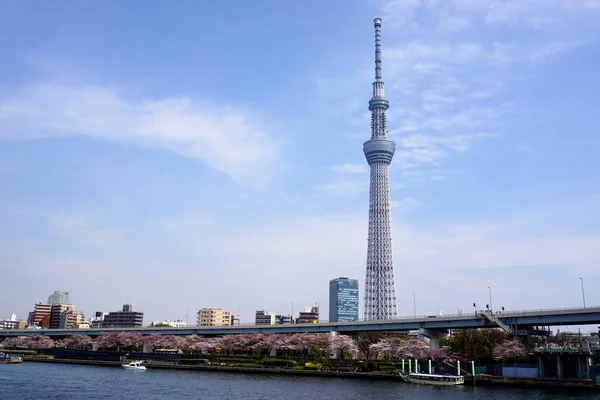 Önünde Sumida Nehri olan Toyko Skytree 