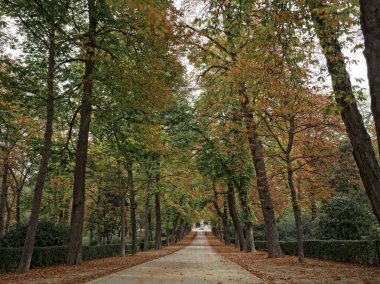 Emeklilik park sonbahar