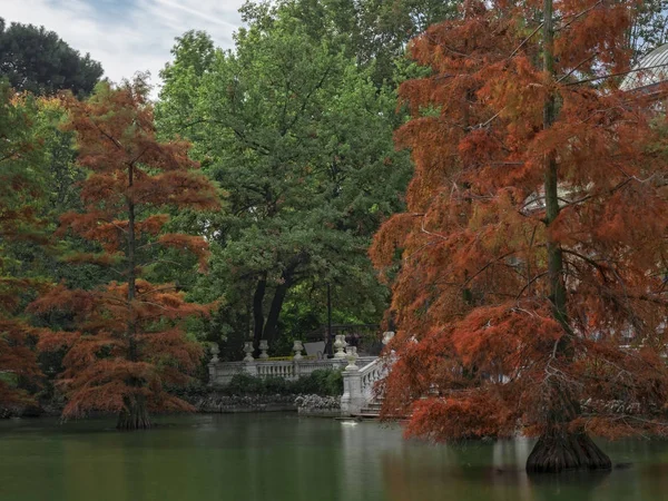 Stampa autunnale in Il ritiro — Foto Stock