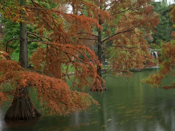 Der Teich im Herbst — Stockfoto