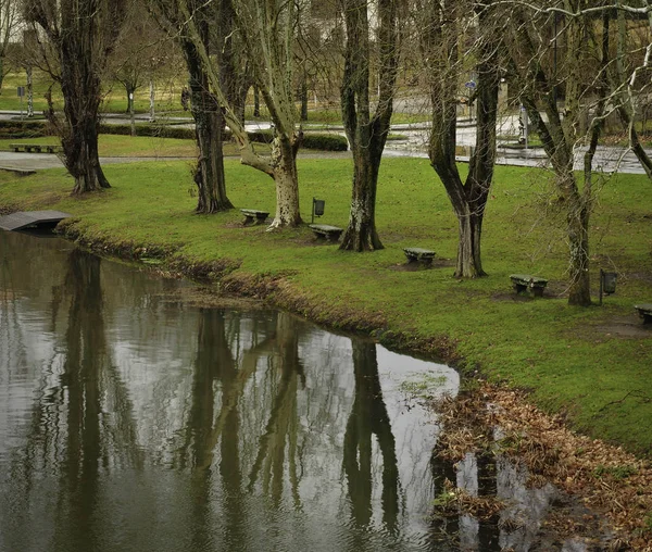 Reflektioner av träd i vattnet — Stockfoto