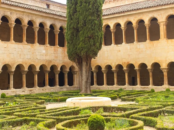 Кипарисы в саду монастыря Силос — стоковое фото