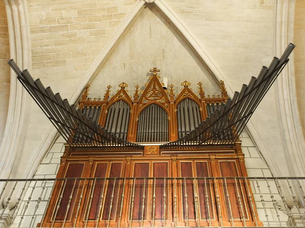 Santa Maria Katedrali Organı