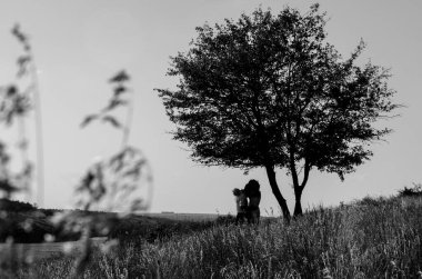 Damat gelini kucaklıyor. Yalnız ağaç. Gün batımı. Mutluluk. kutlama.