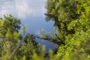 Yeşil ağaçlar ve gökyüzü mavi suya yansıyor. Güzel manzara