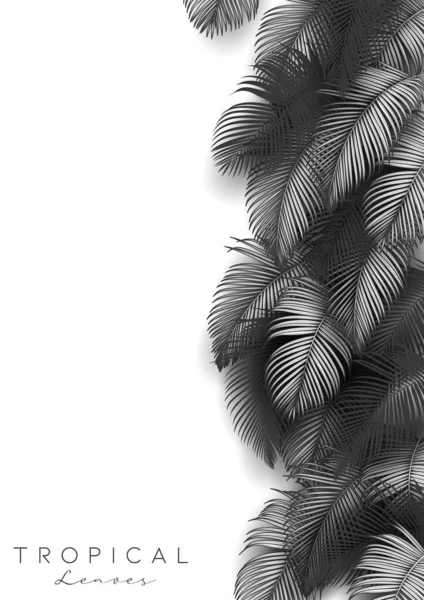 Fondo Hojas Verano Tropical Con Plantas Selva — Archivo Imágenes Vectoriales