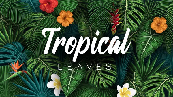 Tropical Summer Leaves Background Jungle Plants — Stock Vector