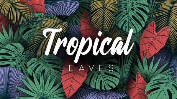 Tropické Letní Listí Pozadí Džunglí Rostlin — Stockový vektor