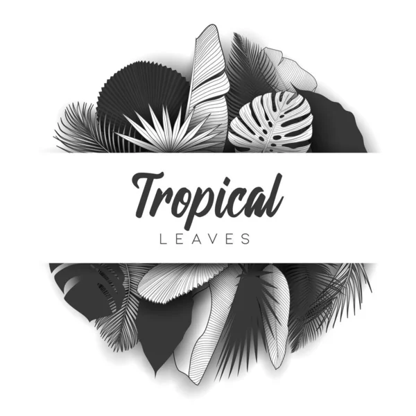 Tropical Summer Leaves Background Jungle Plants — Stock Vector