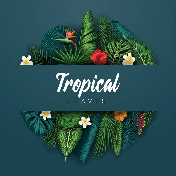 Fondo Hojas Verano Tropical Con Plantas Selva — Vector de stock