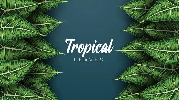 Tropischer Sommer Hinterlässt Hintergrund Mit Dschungelpflanzen — Stockvektor