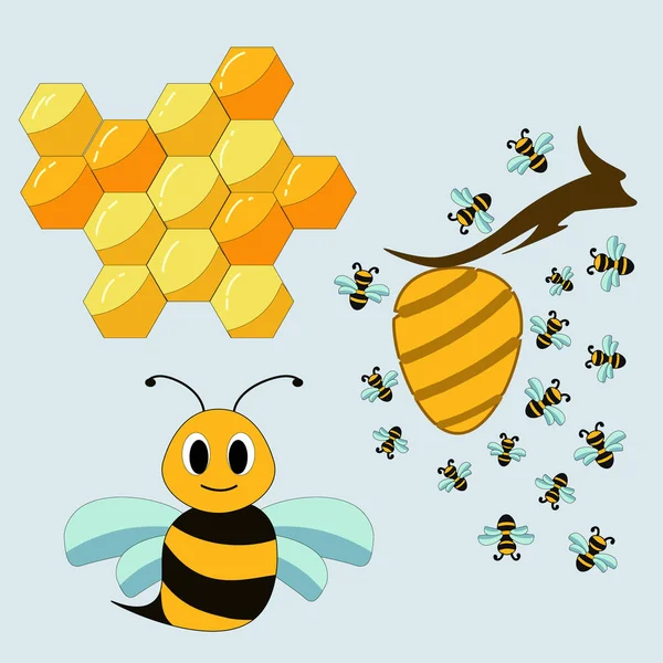 蜂の命のベクトルセット — ストックベクタ