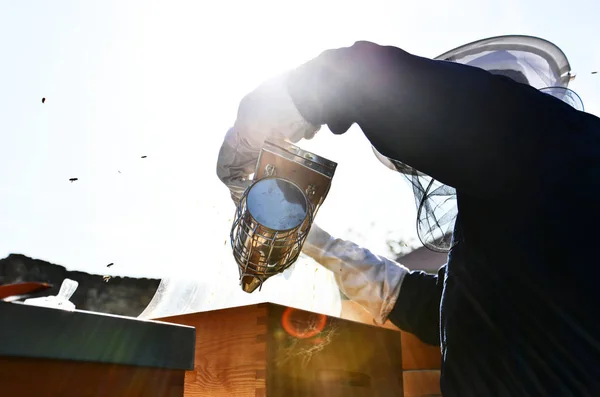 Beekeepers use a smoker. Special tool which is used for calm bee — Stock Photo, Image