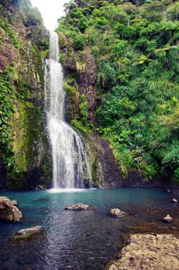 Wonderful waterfalls in New Zealand. Kitekite Falls on South Island of New Zealand.    clipart