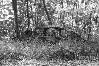 Coronavirus - Kuala Lumpur 'da Boş Sokaklar