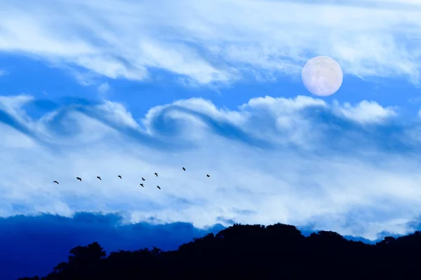 Luna pájaro nubes fantasía Imagen De Stock