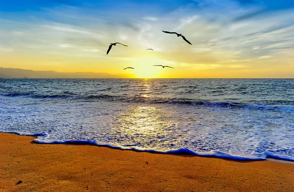 Grupo Pájaros Vuela Hacia Una Brillante Hermosa Luz Inspiradora Esperanza Fotos De Stock