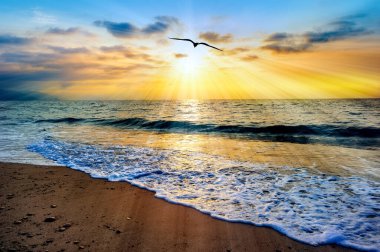 İlahi Okyanus 'un Günbatımı Gökyüzünün Güneş Işıklarına Uçan Tek Bir Kuş