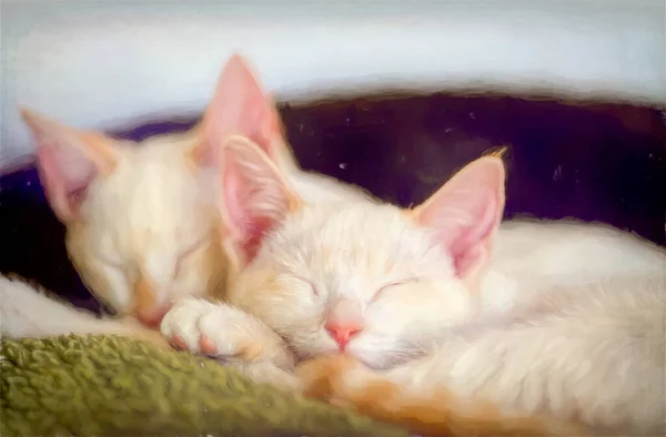 Two Pretty White Fluffy Kittens Sleeping Together — Stock Photo, Image