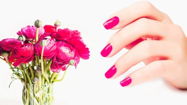 Güzel el ince parmaklar pembe tırnak Beyaz arka planda izole çiçekler için uzanan