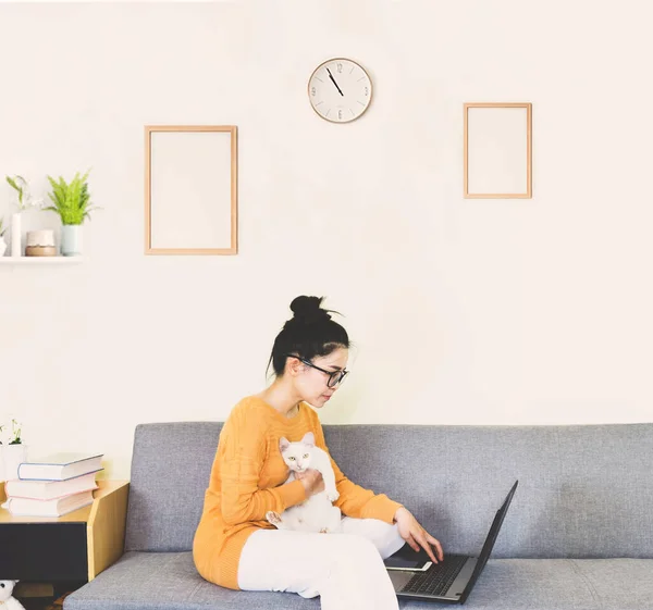 Young beautiful asian woman wore orange knitwear, sitting on gray sofa ,work online lifestyle,relax at home with coffee mug,home working laptop,work from home and cat