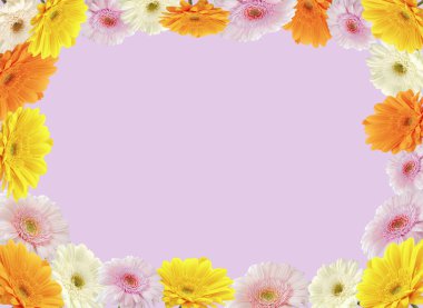 Kopya uzayı pembe arkaplanda renkli Kasımpatı çiçek çerçevesi
