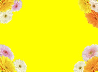 Kopya alanı sarı arkaplanda renkli Kasımpatı çiçek çerçevesi