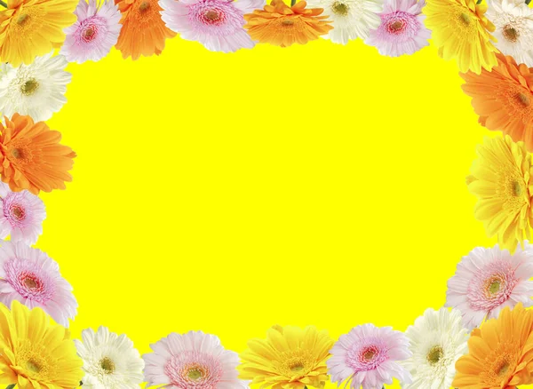 コピースペースとカラフルな菊の花のフレーム黄色の背景 — ストック写真