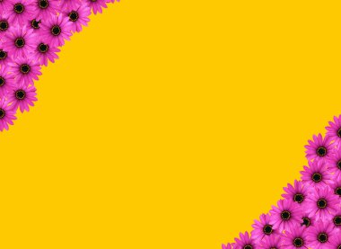 Güzellik çiçekleri çerçevesi izole edilmiş sarı arkaplan