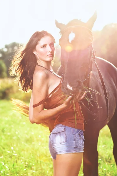 Молодая сексуальная женщина с лошадью — стоковое фото