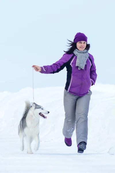 年轻女子走与西伯利亚哈士奇犬 — 图库照片