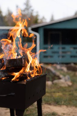 Yakacak odun, doğanın arka planında bir barbeküde yanıyor.
