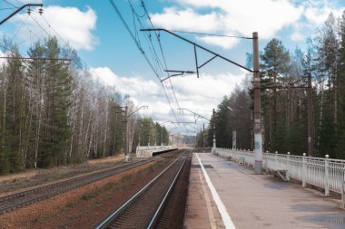 Banliyö istasyonunun iki yönlü rayları ve platformları var. Orman arka planda