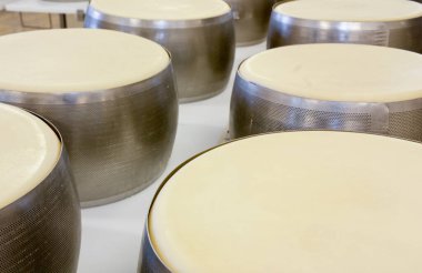 Formaggi Toscani Ambientati su Tavola